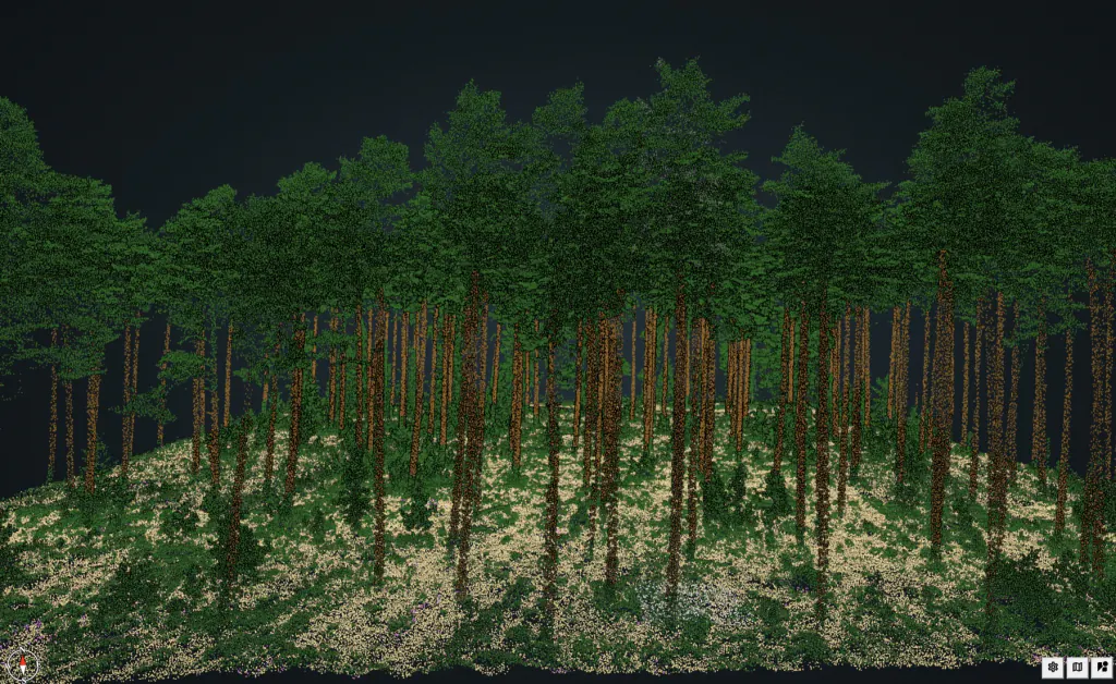 Forestry