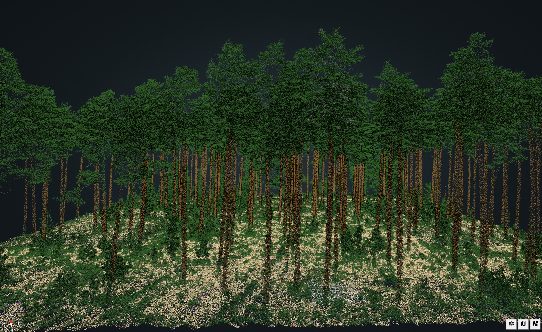 Forestry