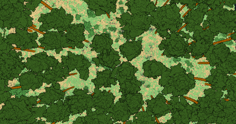 The point cloud shows the forest cover of the surface.