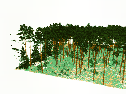 Forestry Classifier Template: Leveraging AI for Automated Forestry Data Classification
