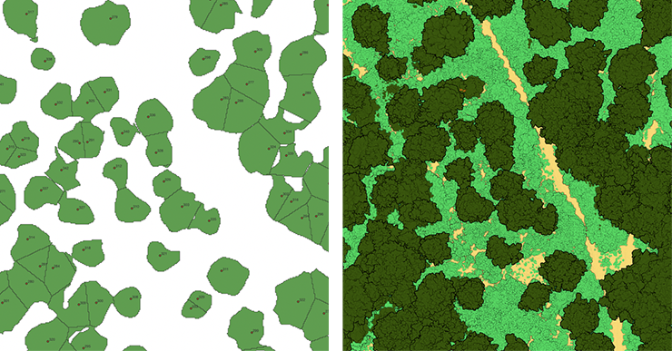 Classified point cloud data with generated canopy shapes.