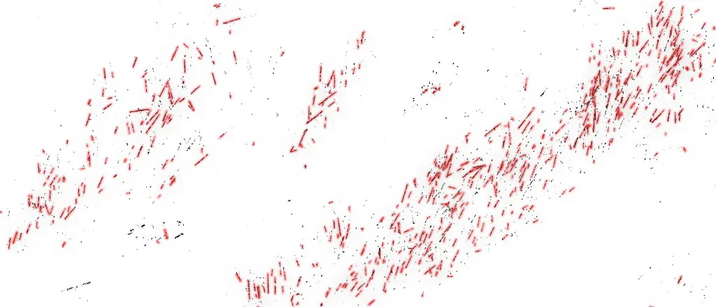 Linearization, vectorization of dead wood