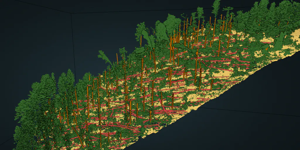 Forest damage assessment from LiDAR point cloud using Artificial Intelligence