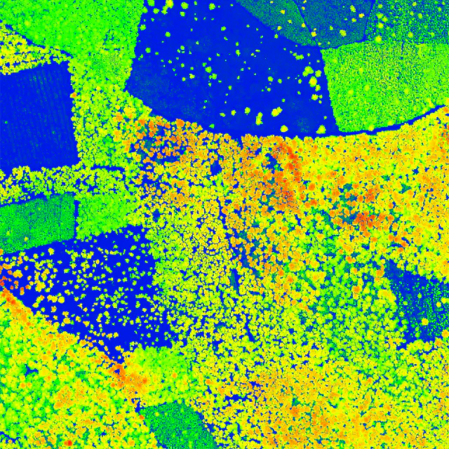 LiDAR canopy height model raster
