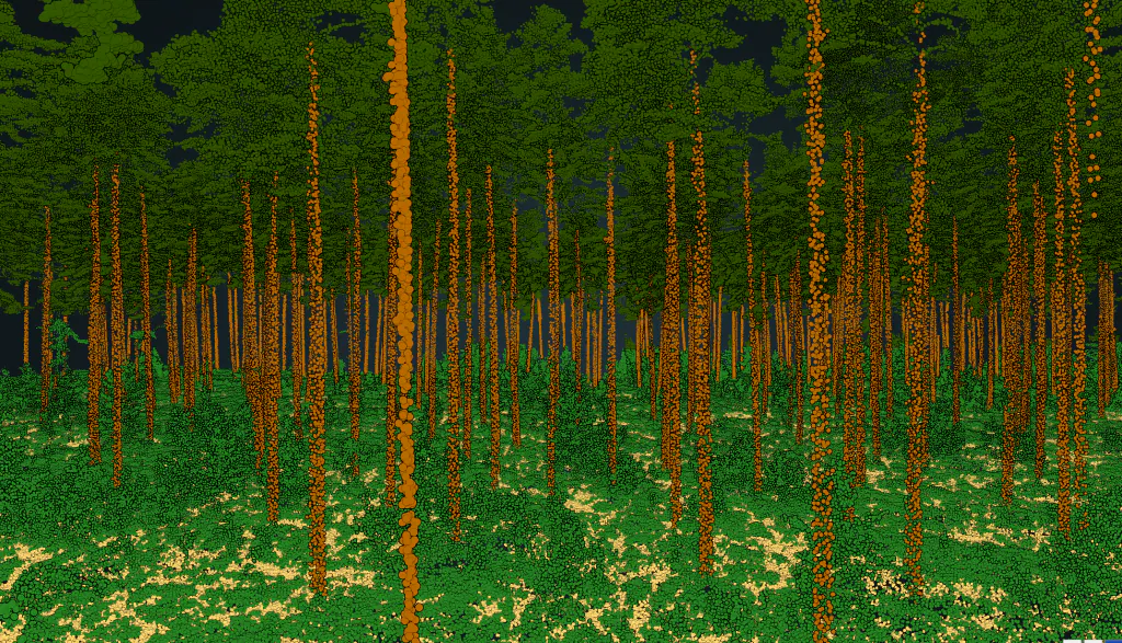 Classification, Forestry, Biomass estimation, Tree inventory