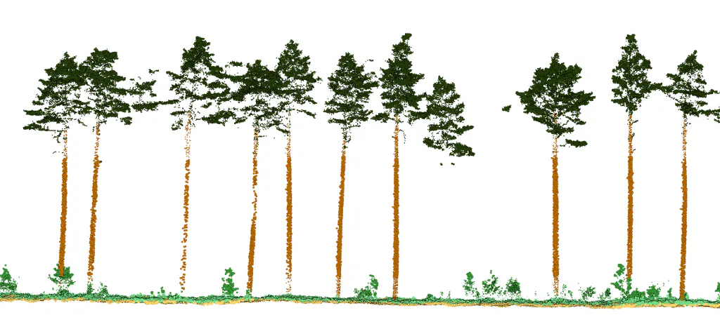 Forestry, LiDAR, classification