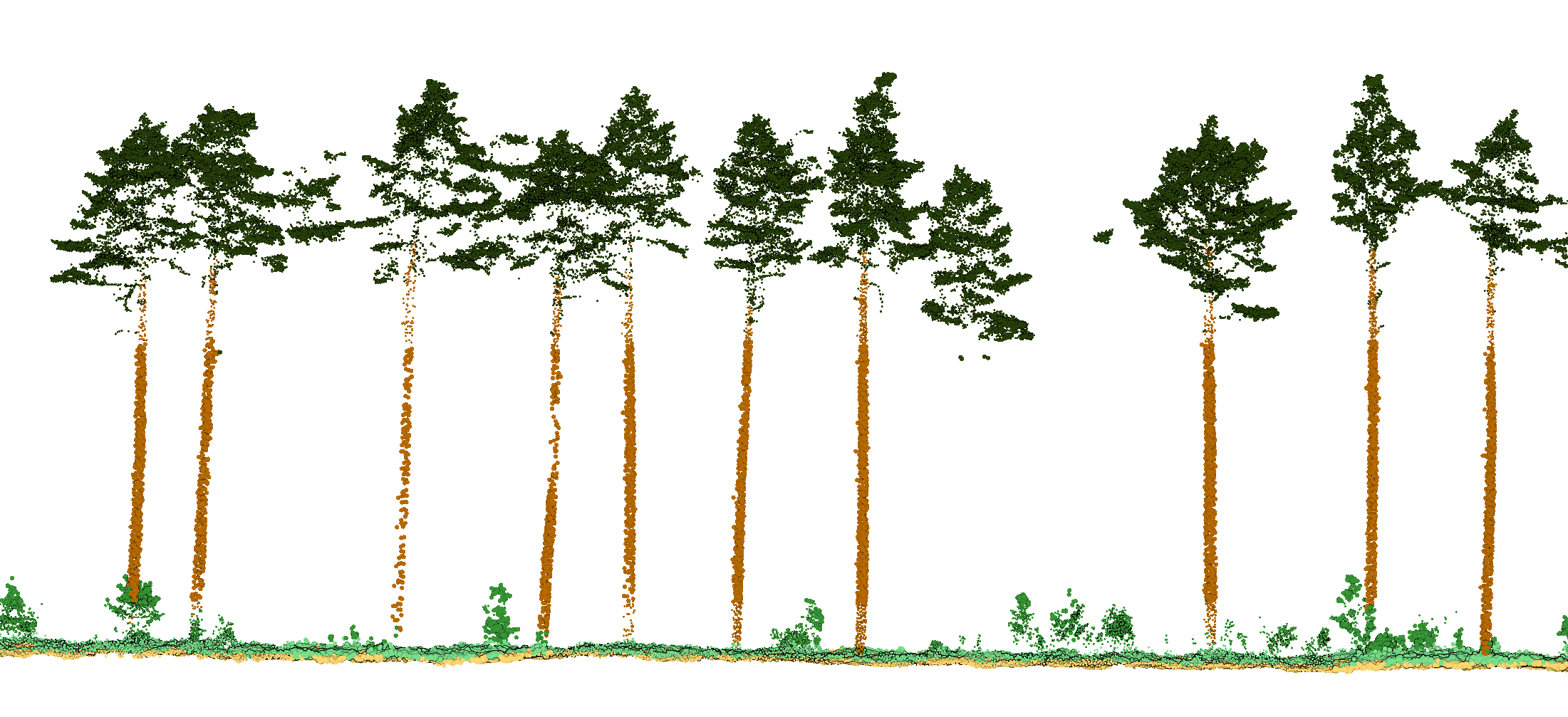 Forestry, LiDAR, classification
