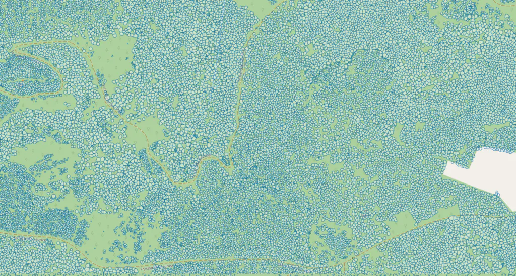 Canopies, LiDAR, Forestry