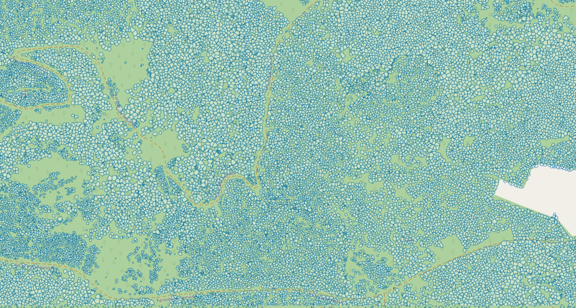 Canopies, LiDAR, Forestry