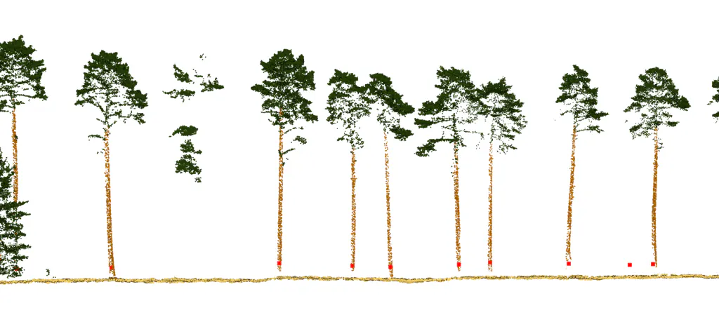 Tree DBH, forestry, inventory