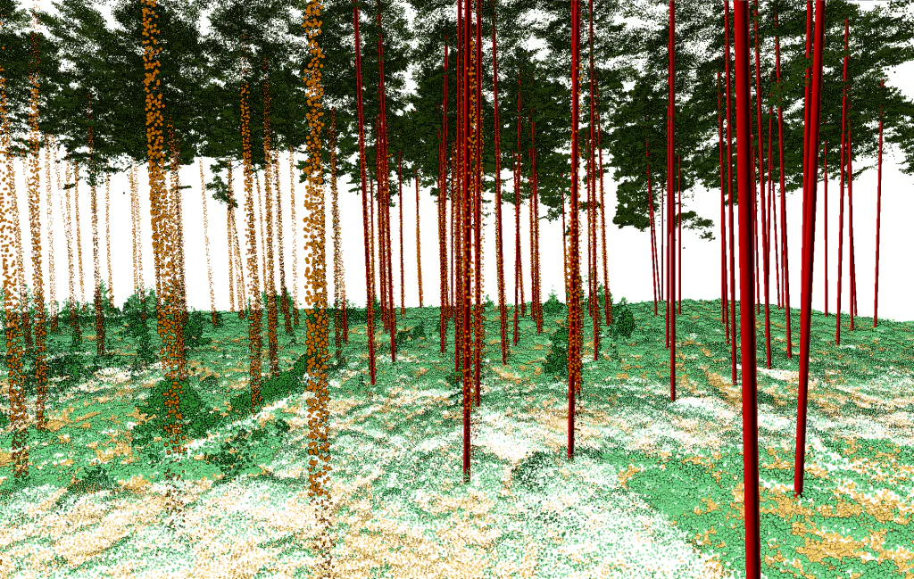 Forestry linear vectors from LiDAR