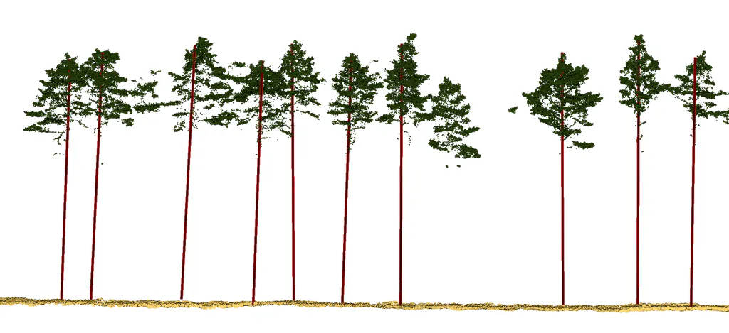 Tree trunk linear vectors from LiDAR