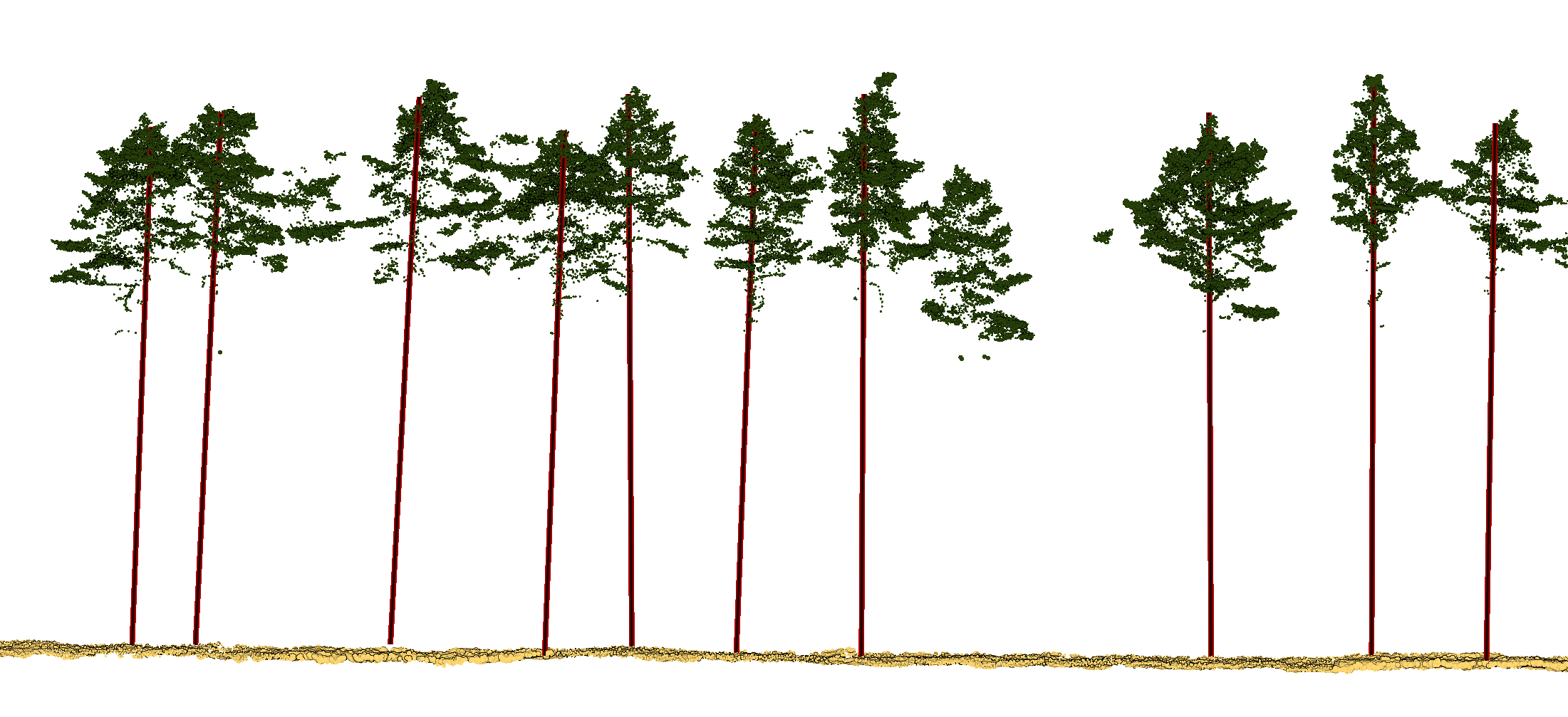 Tree trunk linear vectors from LiDAR